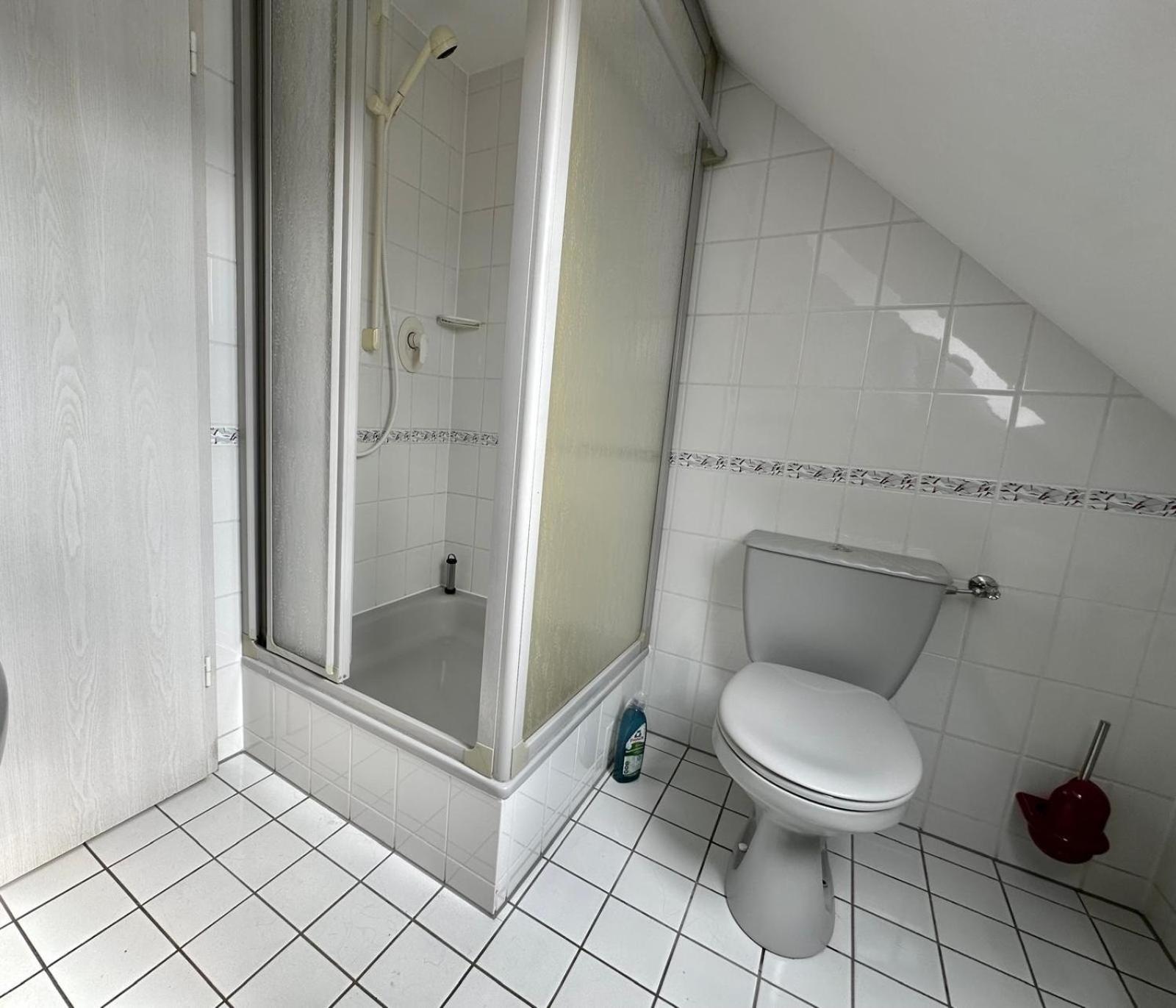 Ferienwohnung Sonnenschein Mit Kleinem Bauernhof Тале Екстериор снимка